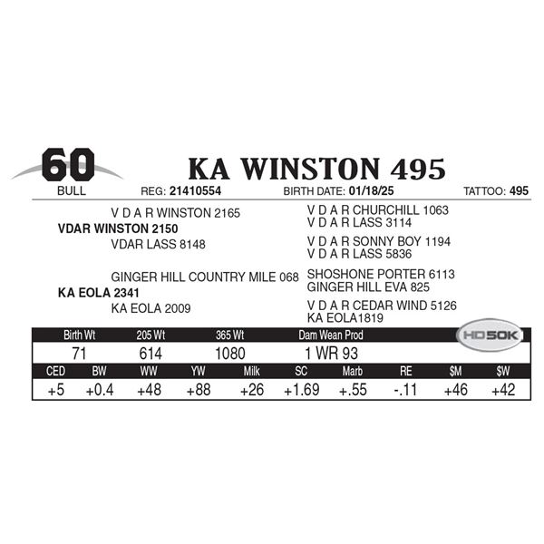 KA Winston 495