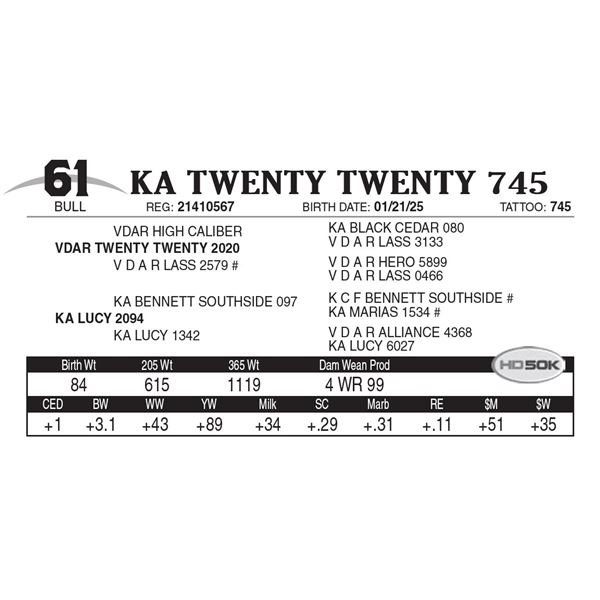 KA Twenty Twenty 745