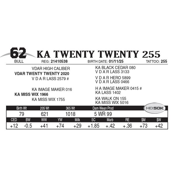 KA Twenty Twenty 255