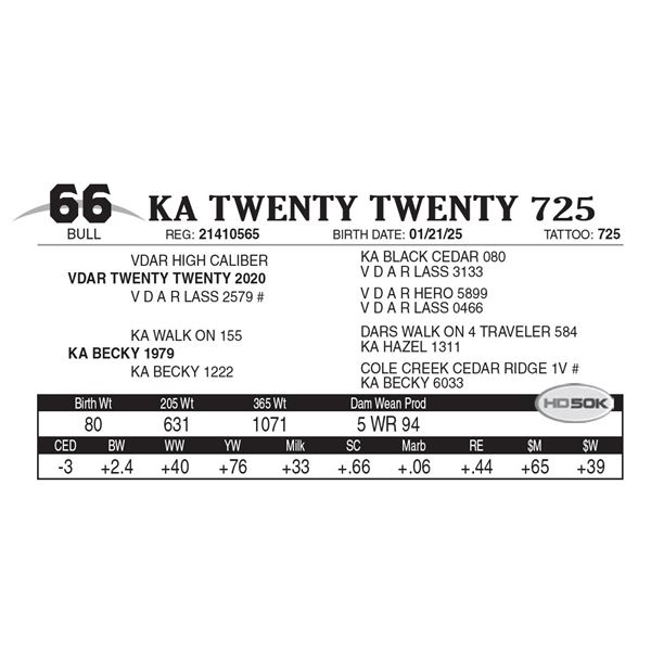 KA Twenty Twenty 725