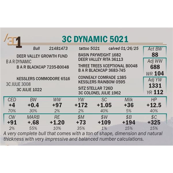 3C Dynamic 5021
