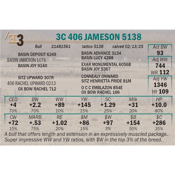 3C 406 Jameson 5138