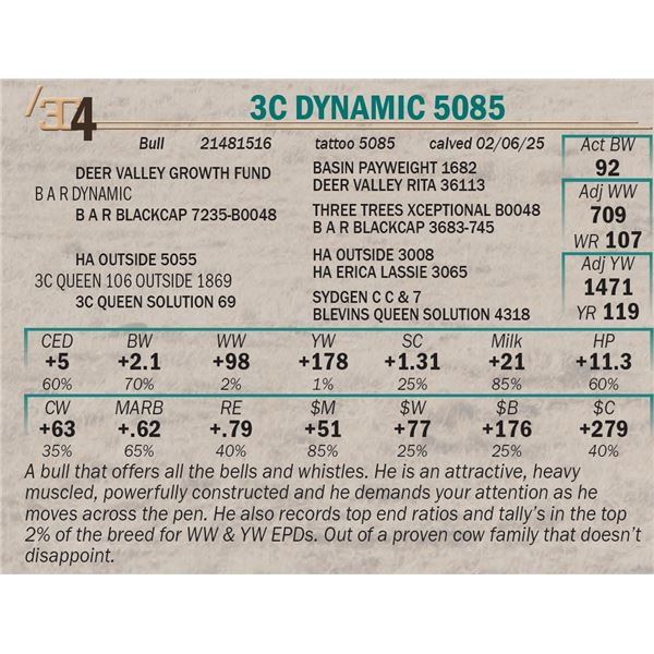 3C Dynamic 5085