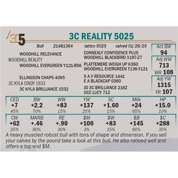 3C Reality 5025