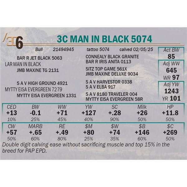 3C Man in Black 5074