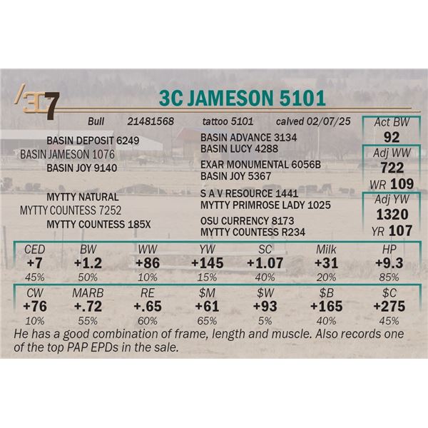 3C Jameson 5101