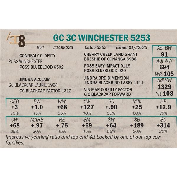 GC 3C Winchester 5253