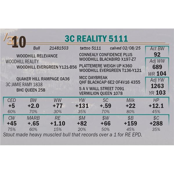3C Reality 5111