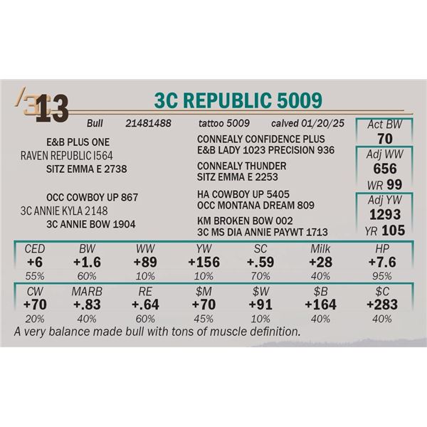 3C Republic 5009