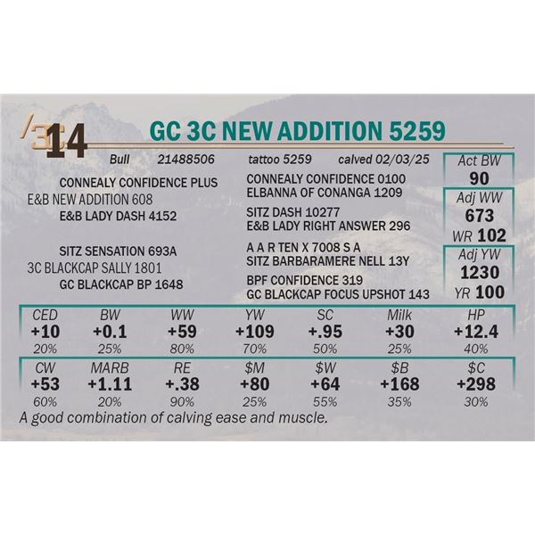 GC 3C New Addition 5259