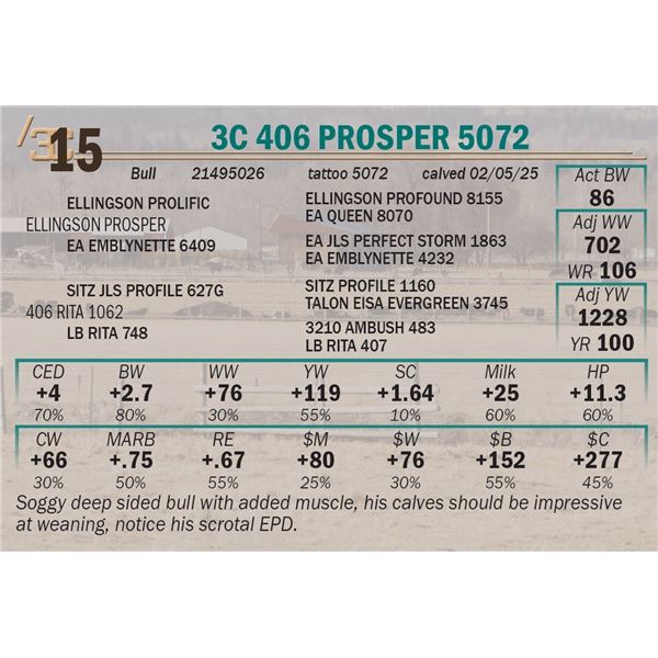3C 406 Prosper 5072