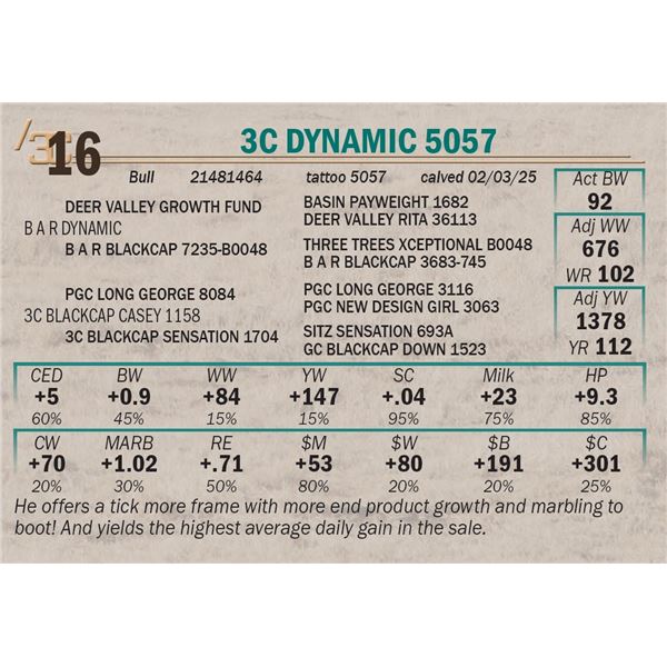 3C Dynamic 5057