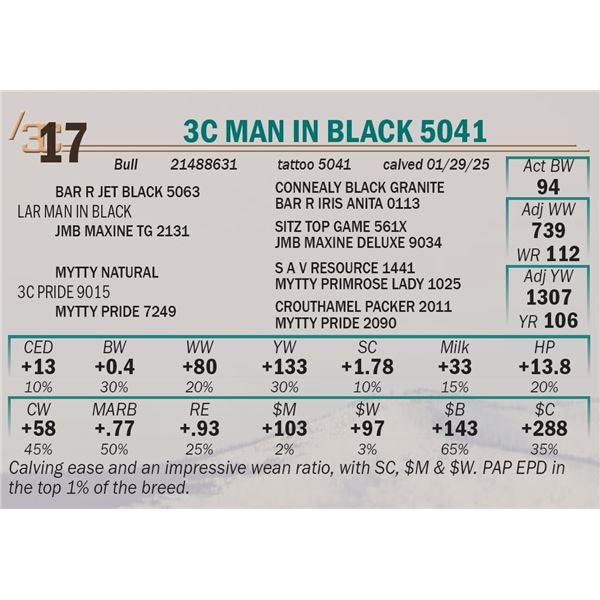 3C Man in Black 5041