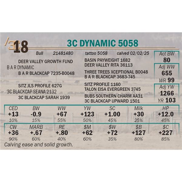 3C Dynamic 5058