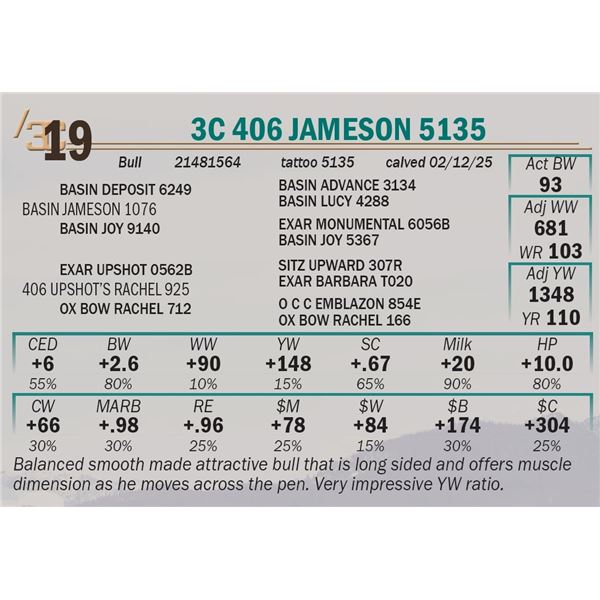 3C 406 Jameson 5135