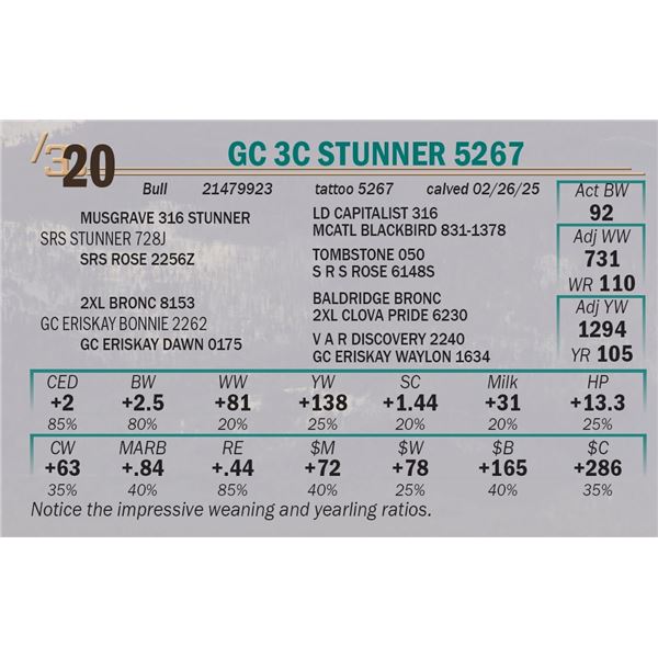 GC 3C Stunner 5267