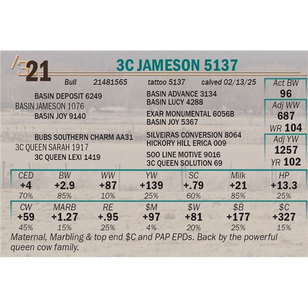 3C Jameson 5137
