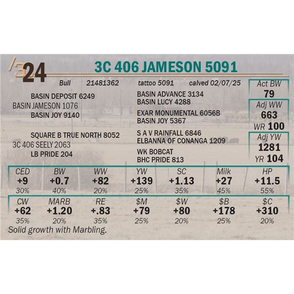 3C 406 Jameson 5091