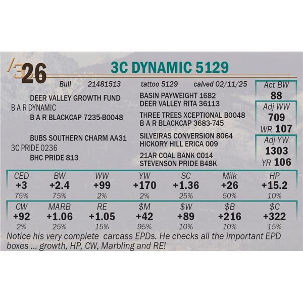 3C Dynamic 5129
