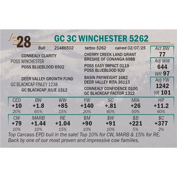 GC 3C Winchester 5262