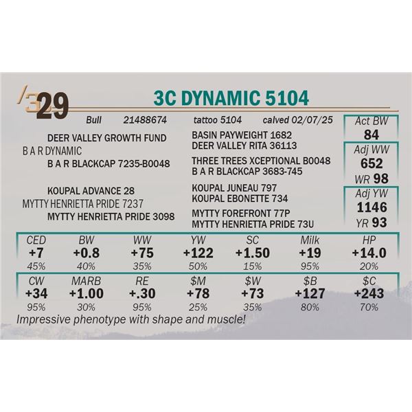 3C Dynamic 5104