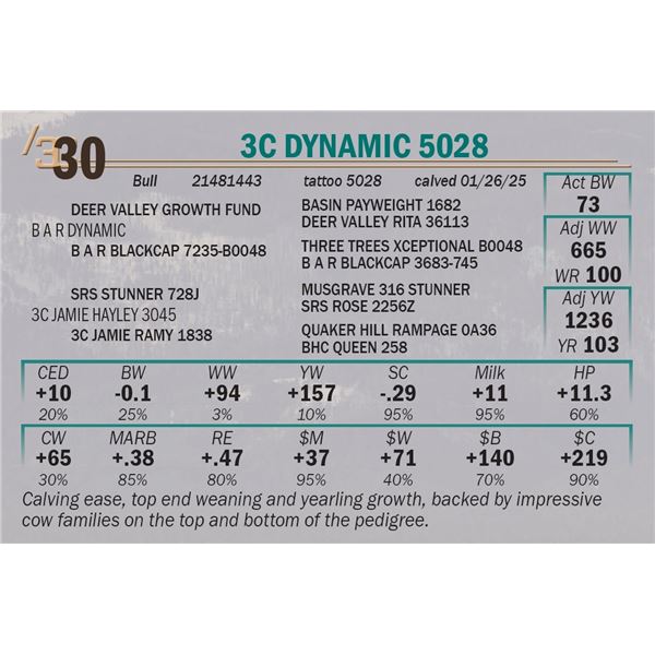 3C Dynamic 5028
