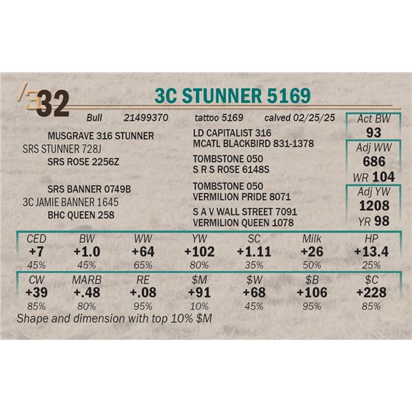 3C Stunner 5169