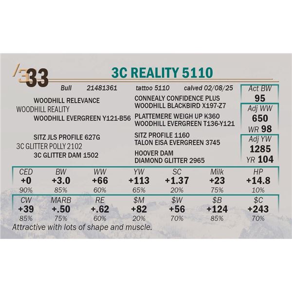 3C Reality 5110