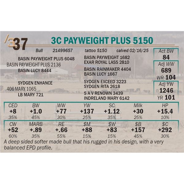 3C Payweight Plus 5150