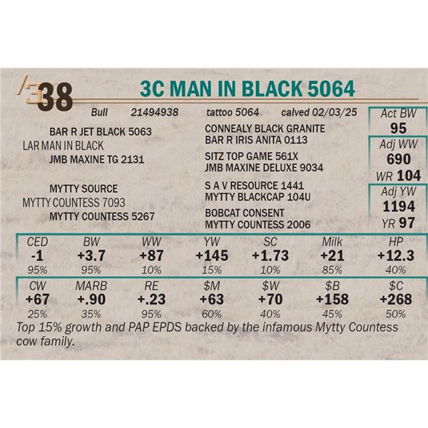 3C Man in Black 5064