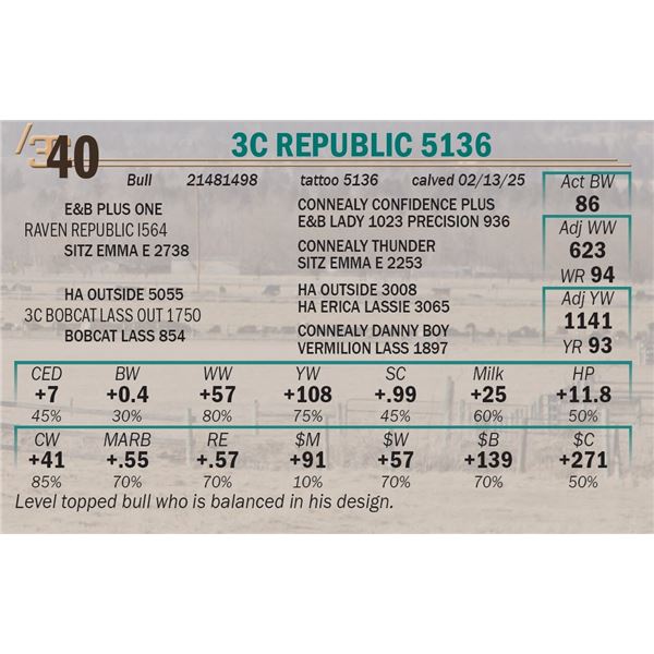3c Republic 5136