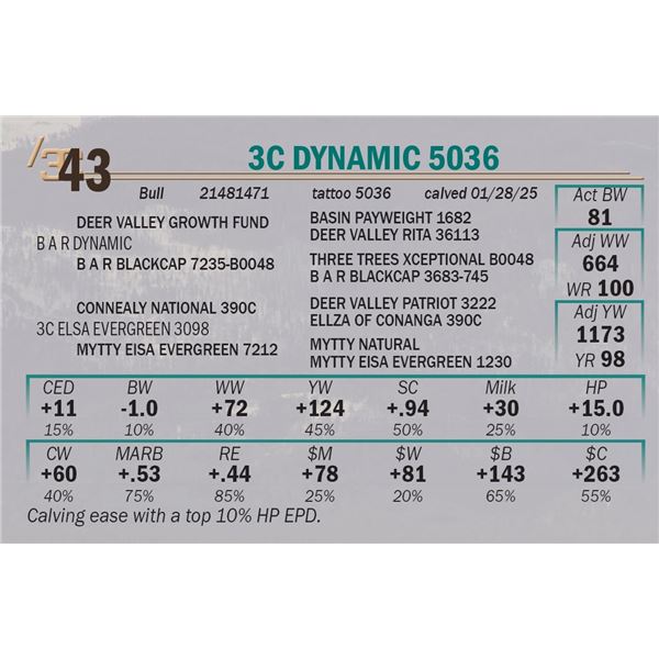 3C Dynamic 5036