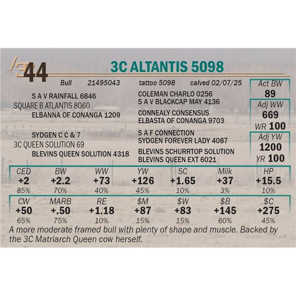 3C Altantis 5098