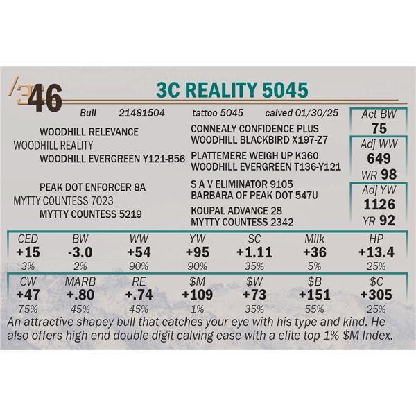 3C Reality 5045