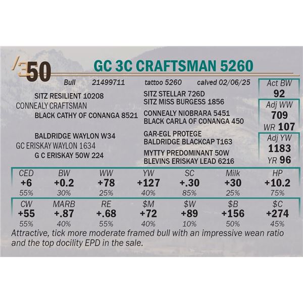 GC 3C Craftsman 5260