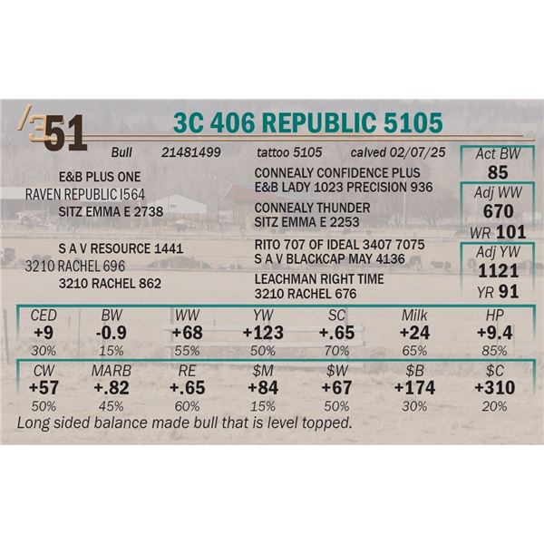 3C 406 Republic 5105