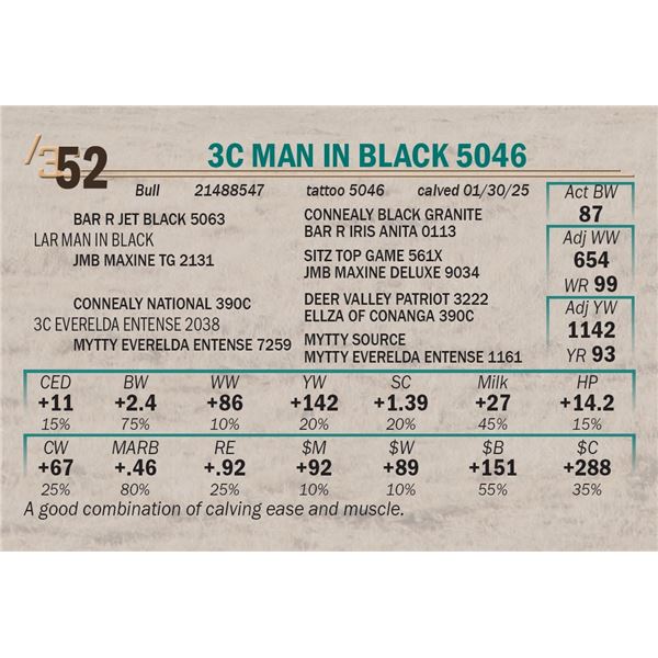 3C Man In Black 5046