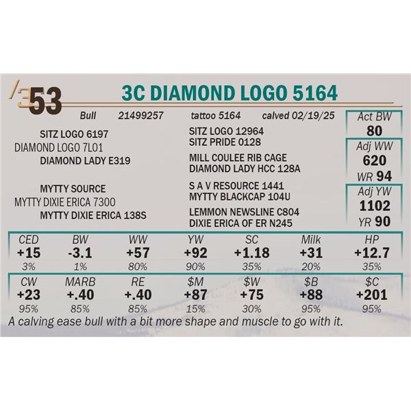 3C Diamond Logo 5164