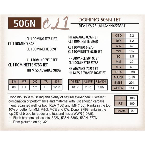CL 1 DOMINO 506N 1ET