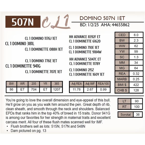 CL 1 DOMINO 507N 1ET