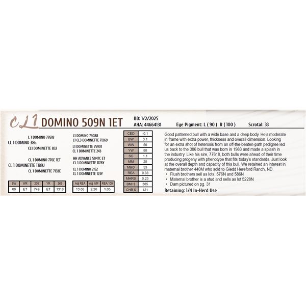 CL 1 DOMINO 509N 1ET