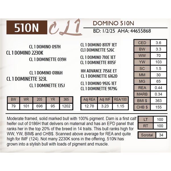 CL 1 DOMINO 510N