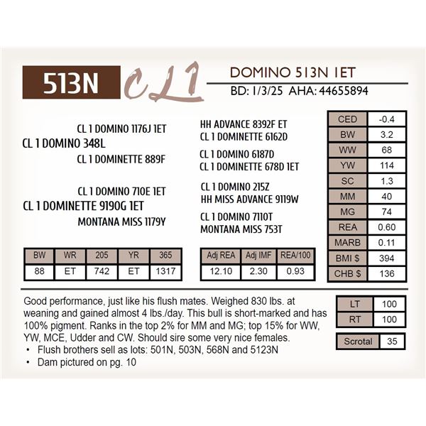 CL 1 DOMINO 513N 1ET