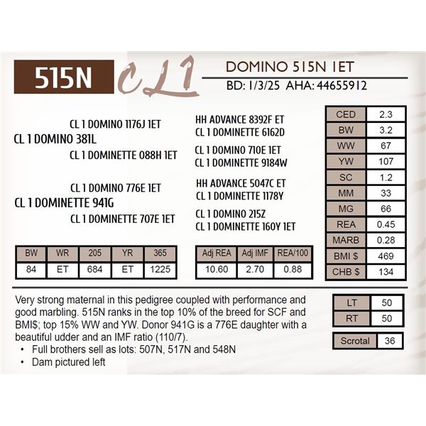CL 1 DOMINO 515N 1ET