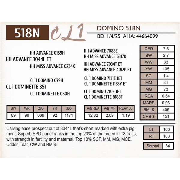 CL 1 DOMINO 518N
