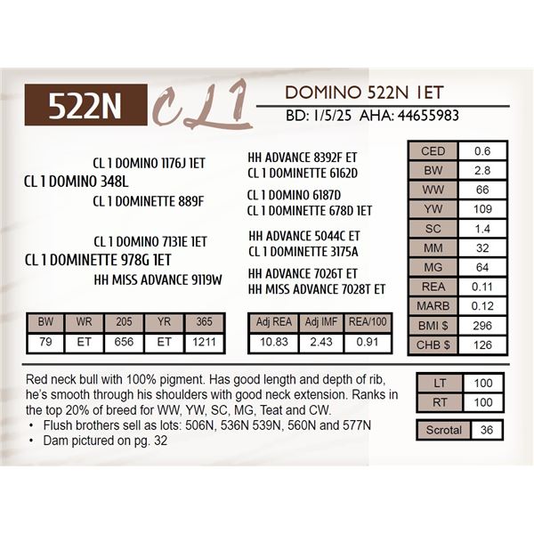 CL 1 DOMINO 522N 1ET
