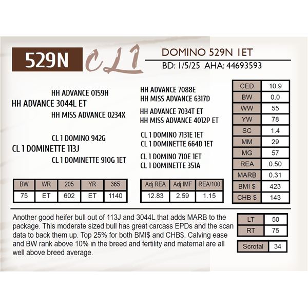 CL 1 DOMINO 529N 1ET