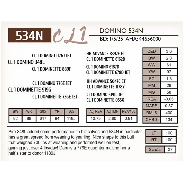 CL 1 DOMINO 534N