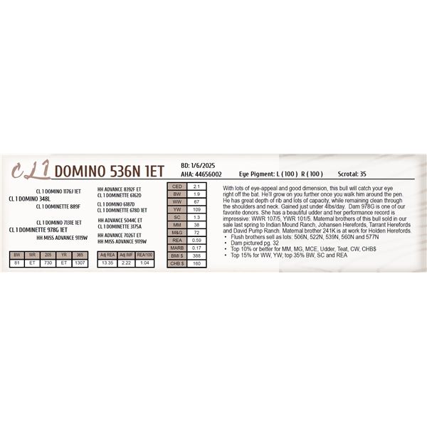 CL 1 DOMINO 536N 1ET