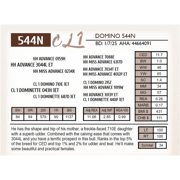CL 1 DOMINO 544N